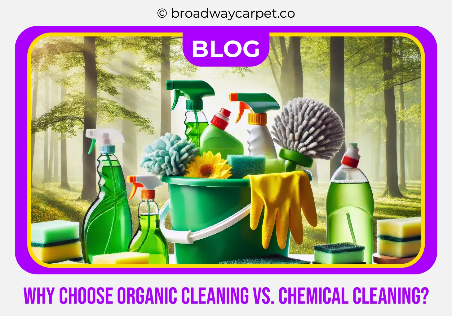 carpet cleaning in new york, carpet cleaning new york, carpet cleaners in new york, carpet cleaners in new york, commercial carpet cleaning, commercial carpet cleaning in new york, new york rug cleaners, rug cleaning services in new york, same day carpet cleaning, same day rug cleaning in new york