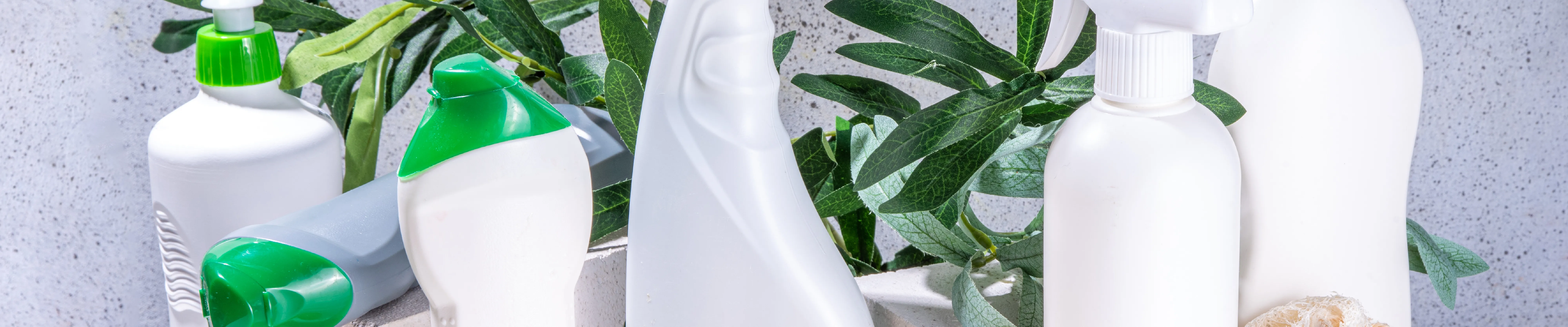 carpet cleaning in new york, carpet cleaning new york, carpet cleaners in new york, carpet cleaners in new york, commercial carpet cleaning, commercial carpet cleaning in new york, new york rug cleaners, rug cleaning services in new york, same day carpet cleaning, same day rug cleaning in new york