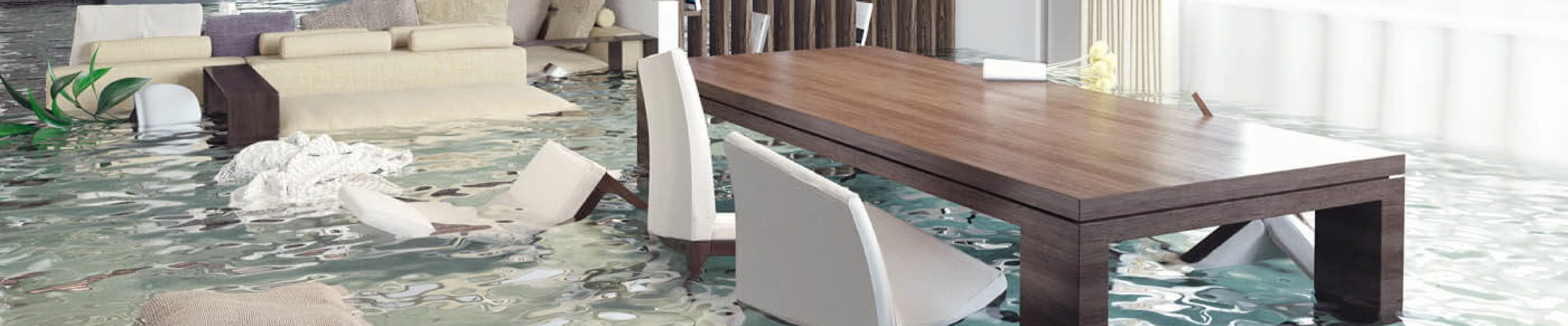 carpet cleaning in new york, carpet cleaning new york, carpet cleaners in new york, carpet cleaners in new york, commercial carpet cleaning, commercial carpet cleaning in new york, new york rug cleaners, rug cleaning services in new york, same day carpet cleaning, same day rug cleaning in new york