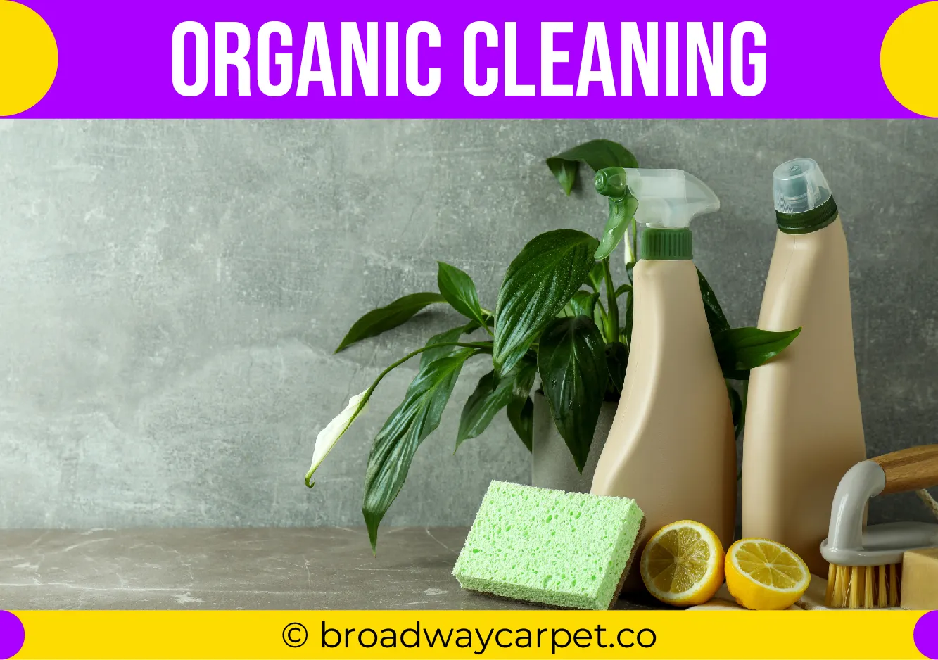 carpet cleaning in new york, carpet cleaning new york, carpet cleaners in new york, carpet cleaners in new york, commercial carpet cleaning, commercial carpet cleaning in new york, new york rug cleaners, rug cleaning services in new york, same day carpet cleaning, same day rug cleaning in new york